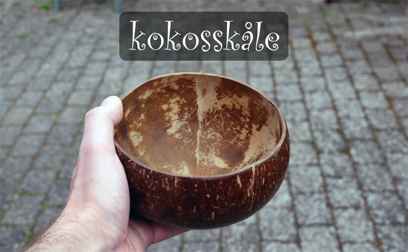 🥥 Kokos-skåle (coconut bowls) – Bæredygtige skåle af kokosnød